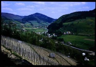 Glottertal, Oberglottertal: Glottertal vom Weinberg Richtung Oberglottertal