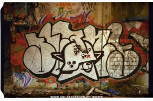 BuRns