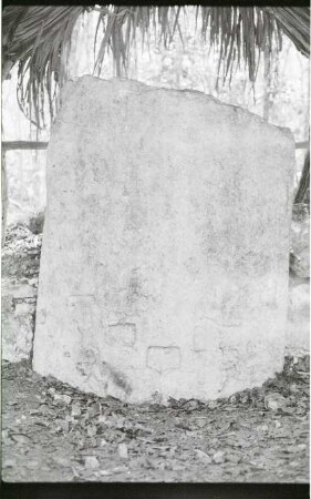 Coba, Stela 8 (COB: St. 8)