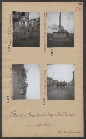 Pferde des Rttm.Frauenholz der 5/2.SRRegts.