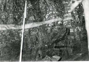 Freital-Zauckerode. Paul-Berndt-Grube (ehemaliger Königin-Carola-Schacht), Grubenfeld Kaiserschacht. Strebabbau 23. Profil des ersten Flözes (helle Lage ist die Große Lette, darüber glänzend unreine Kohle, unten glanzloser Brandschiefer, sehr aschereich)