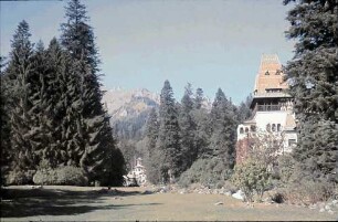 Sinaia: Schloss Peles, Pelisor