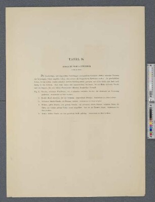 Tafel 36. Einfache Woll-Gewänder.