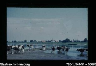 Elbe bei Altengamme