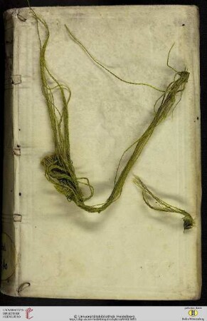 Directorium Cisterciense