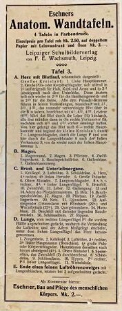 Eschners Anatomische Wandtafel 3