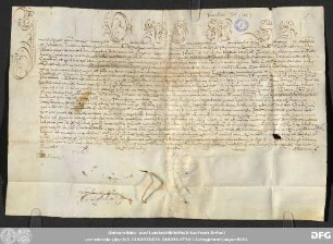 [Halle (Saale), Universitäts- und Landesbibliothek Sachsen-Anhalt, Morbio 31 (11)]