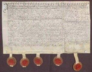 Instrumentum probationis des Johann Philipp Anton Franz von Franckenstein.