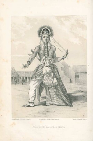 Javaansche rongging (man)