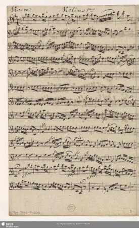 Violino 1mo