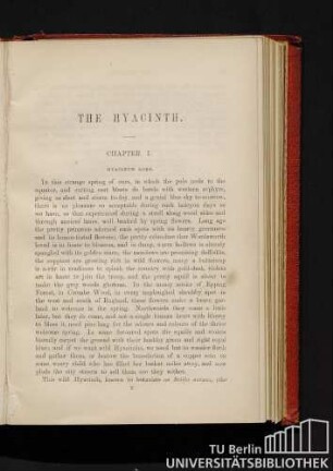 Chapter I. Hyacinth Lore.