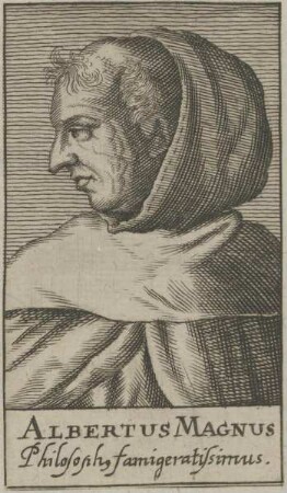 Bildnis des Albertus Magnus
