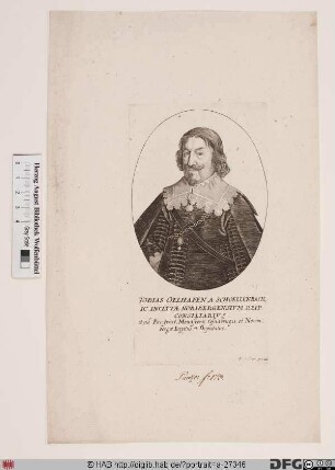 Bildnis Tobias Oelhafen (von Schöllenbach)