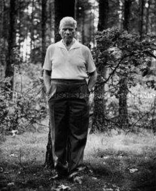 Max Brauer