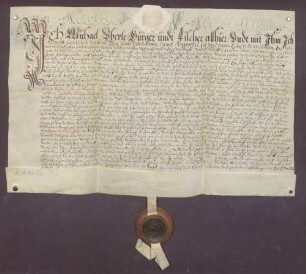 Michael Überle, Fischer zu Heidelberg, verschreibt sich gegenüber der Landschreiberei Heidelberg wegen 150 Gulden Kapital.