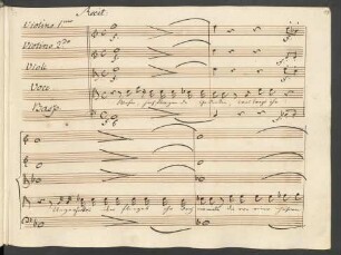 Recit[ativo]: Wohin, hochfliegende Gedanken