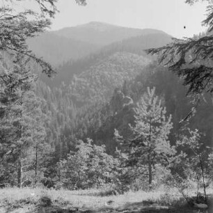 Landschaft um Rila-Gebirge in Bulgarien
