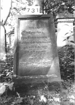 Grabstein 731
