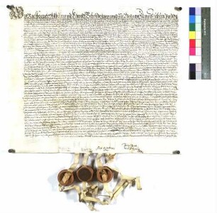 Die Brüder Wilhelm und Konrad von und zu Wernau (Werdnaw) für sich selbst und Hans Erhard von Ow zu Felldorf, Kr. Horb (Veldorff), fürstlich augsburgischer Rat und Pfleger zu Kühlenthal (Khillenthall), und Georg Speth von und zu Sulzburg als Vormünder von des verstorbenem Hans Veit von Wernau (Werdnaw) Kindern und Hans Martin, Jörg, Jakob und Barbara von Wernau (Werdnaw) stiften gemäß dem Wunsch und letzten Willen ihres verstorbenen Vaters um 80 Gulden Hauptgut einen Jahrtag für seine Schwester Katharina von Wernau (Werdnaw), seinen Vater Veit von und zu Wernau (Werdnaw), seine Schwester Katharina von Wernau (Werdnaw), seinen Vater Veit von und zu Wernau (Werdnaw), seine Mutter Gertraut von Wernau (Werdnaw) geb. von Ehingen, Hans Burkhard zu Wernau (Werdnaw), Hans Ludwig zu Pfauhausen (Gde. Wernau), Hans Wilhelm zu Diessen (Kr. Hechingen?) und Bieringen (Kr. Künzelsau), Hans Veit zu Pfauhausen, Unterboihingen (Undderböhingen), Diessen und Bieringen, alle von Wernau (Werdnaw), und Frau Anna Dalberg, Frau Margrete von Neuhausen, Frau Magdalena von Ow und Jungfrau Barbara, alle geb. von Wernau (Werdnaw), alle Geschwister der gen. Katharina. Die genau aufgeführten Einzelheiten der Stiftung verhandeln sie mit Matheus Scheublin, Pfarrer zu Pfauhausen, und mit den beiden Heiligenpflegern Michel und Hans Dürr von St. Erasmus daselbst. Von den jährlichen 5 % Zinsen aus dem Hauptgut sollen jedes Jahr erhalten: der Pfarrer zu Pfauhausen 40 x, die zwei anderen Priester je 30 Kreuzer, der Mesner und die beiden Heiligenpfleger je 6 x, Hausarme und Bedürftige zu Pfauhausen, die diesem Jahrtag beiwohnen, 32 Kreuzer, und den Rest von 1 Gulden 3 Kreuzer der Heilige für Wachs usw.