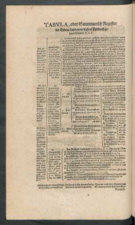 Tabula, oder Summarisch Register der Eyden ...