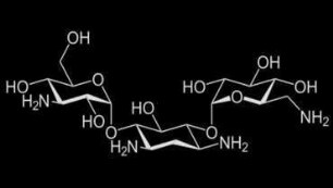Von der DNA zum Protein: Teil: 2: Ligation und Transformation