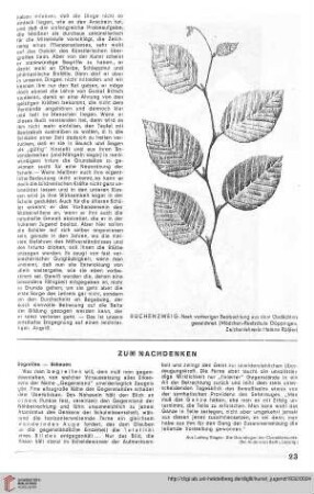N.F. 12.1932: Zum Nachdenken