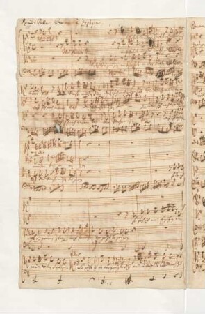 12. Recit[ativo] (S, A, T): Was Lust! Was Freude! Welch Vergnügen!