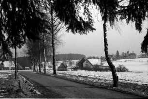 Schömberg: Landstraße mit Birken und Schnee bei Schömberg