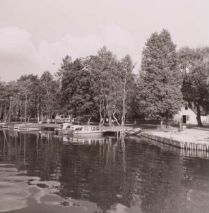 Arendsee, Seglerhafen
