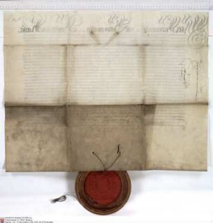Kaiser Ferdinand II. von Habsburg bekundet, dass Johann Bernhard [Schenk zu Schweinsberg], Abt von Fulda, Erzkanzler der Kaiserin, um die Bestätig...
