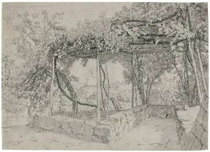 Weinlaube bei Cava de’ Tirreni