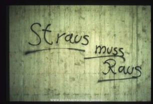 Straus muss Raus