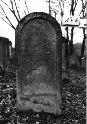 Grabstein 176 (Index: 99752025) Material: Sandstein Zustand: stark verwittert mit Textverlust Maße HxBxT: 146x60x17 cm Beschreibung: Stele, Rundbogenabschluß, Schriftfelder eingetieft: Grabstein 176