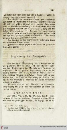 Zergliederung des Oberschenkels
