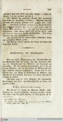 Zergliederung des Oberschenkels