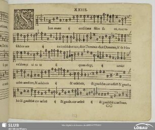 XXIII Sicut mater consolatur filios