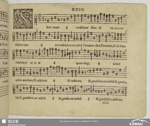 XXIII Sicut mater consolatur filios