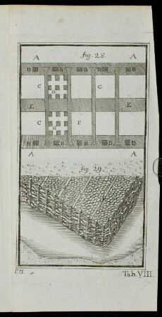 Tab. VIII. fig. 28. & fig. 29