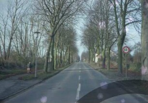 Allee: Lindenallee: links Fahrradweg, hinten rechts Häuser