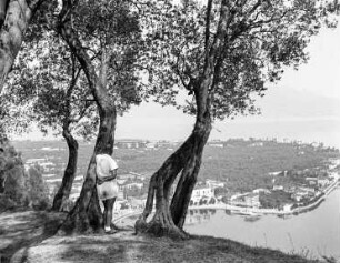 Gardasee, Maderno : Blick auf Maderno