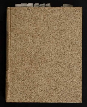Synopsis Hermeneuticæ S. Cujus Caput I.