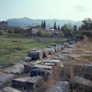 Thasos, Limenas, Antike Agorá. Säulentrommeln und Basen des Nordost-Portikus