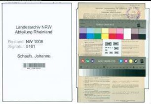 Entnazifizierung Johanna Schaufs , geb. 23.12.1894 (Kindergaertnerin)