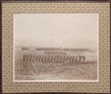 Offizier-Corps des 8. Württembergischen Infanterie-Regiments Nr. 126