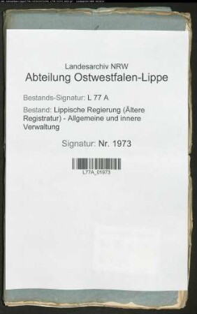 Die Besetzung der Kantorstelle zu Lage