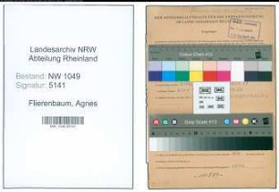 Entnazifizierung Agnes Flierenbaum , geb. 17.02.1906 ()