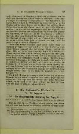 VII. Die Aegyptier