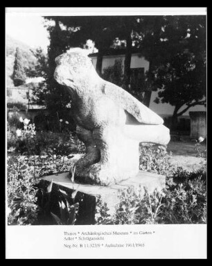 Adler