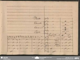 Aria: "Hoffnung du von Himmelshöhn"