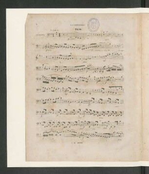 Violoncello. Trio.